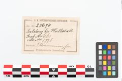 Etikett zu Bronzehohlbuckelarmreif (NHMW-PRAE-025674)